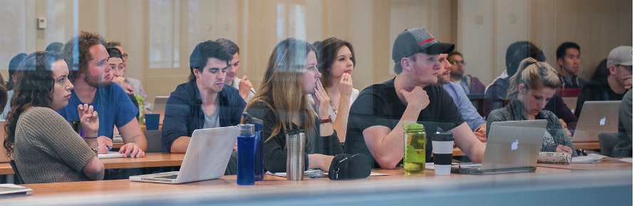 Students sitting in a row with their laptops.