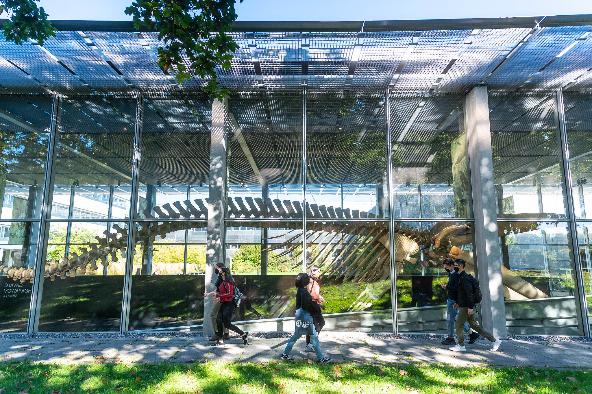 Exterior view of Beaty Biodiversity Museum