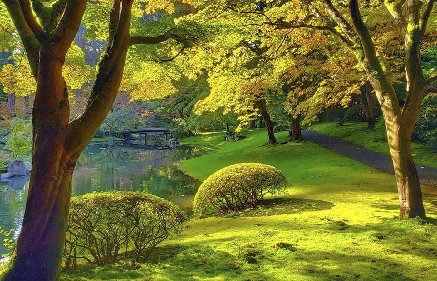 UBC's Nitobe Gardens