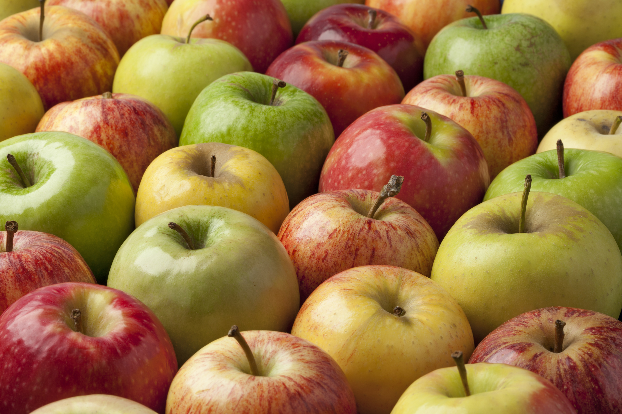 apples in different colors