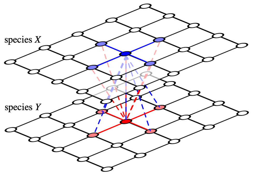 Mutualism two-layer lattice.