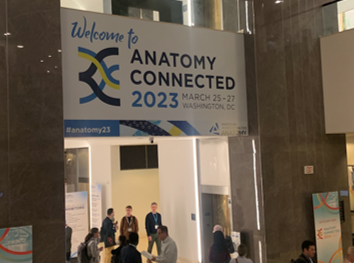 Banner at Anatomy Connected 2023 event