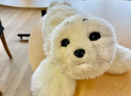 White seal robot named PARO