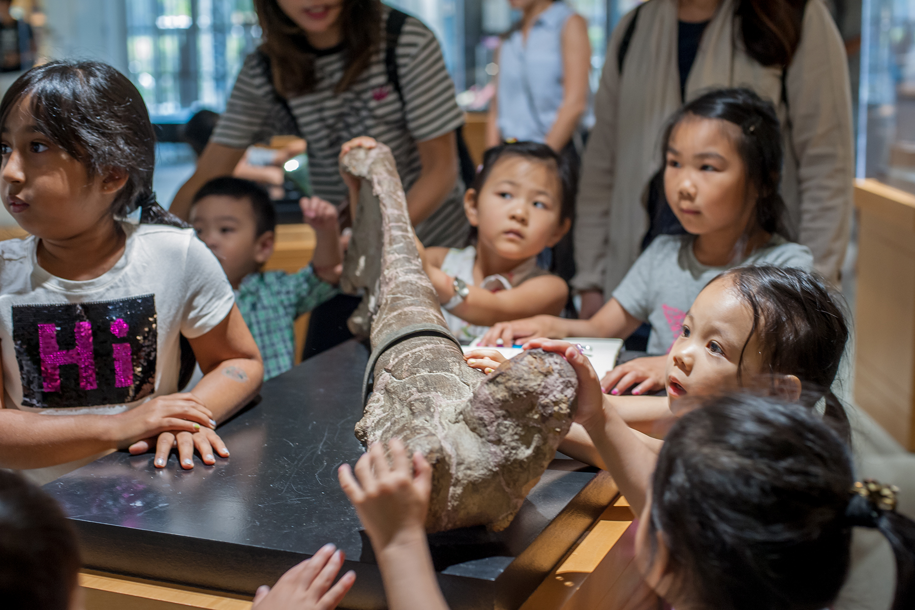 A group of young children touching fossil at the museum.