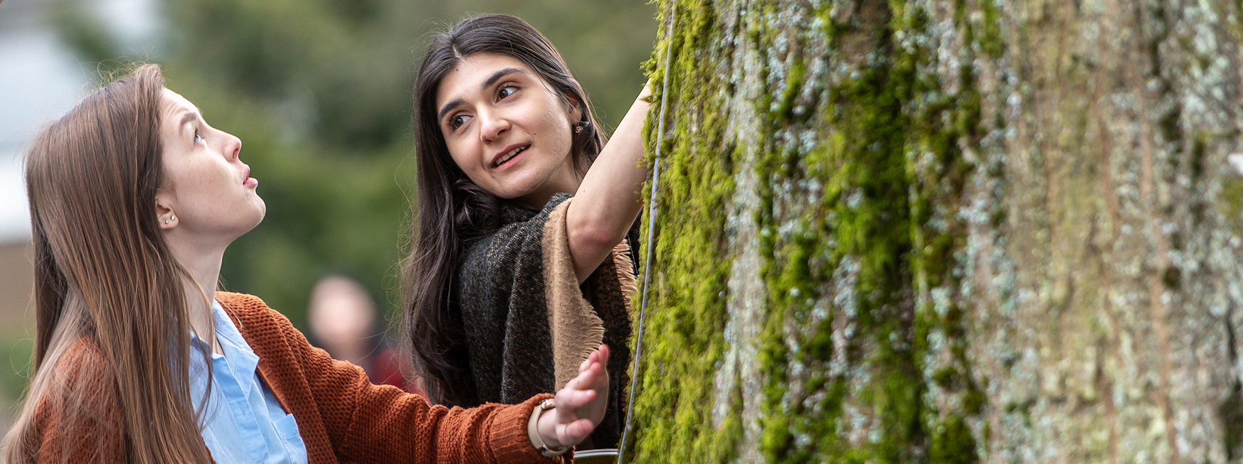 Students examining a tree trunk for research purposes