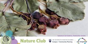 Nature club photo of dried roses