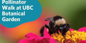 A bee standing on top of a pink flower.