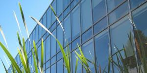 Grass in front of a glass building