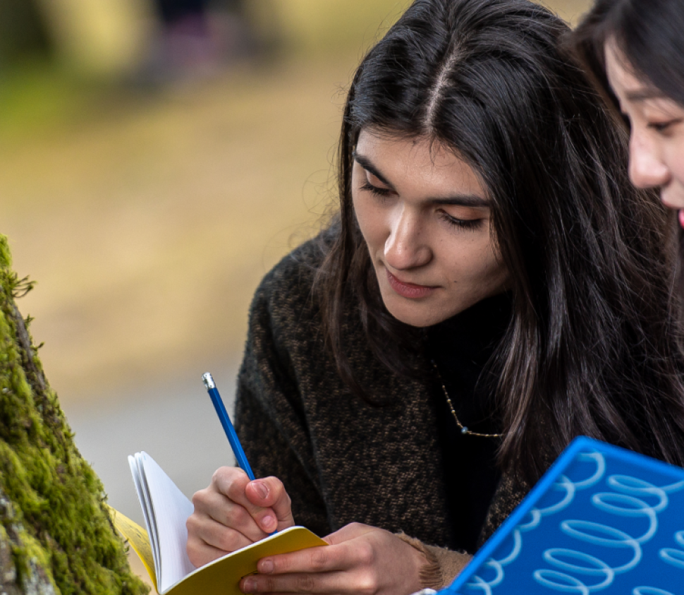Summer 2025 Work Learn International Undergraduate Research Awards