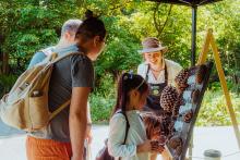 Two adults and children looking at interactive pine cone display