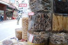 Dried seahorses for sale