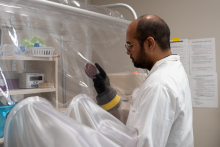 Dr. Deepesh Panwar observes a plate of bacteria involved in metabolism of artificial cellulose derivatives.