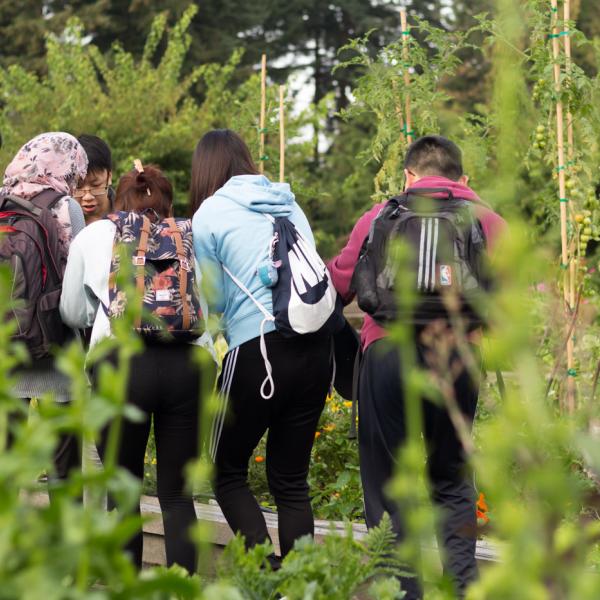 UBC Botanical Garden