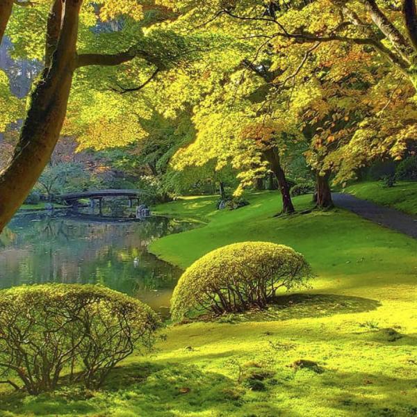 UBC's Nitobe Gardens