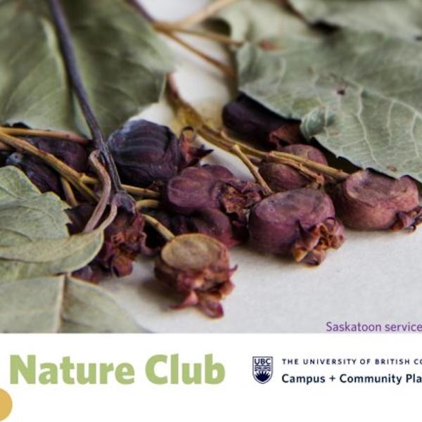 Nature club photo of dried roses