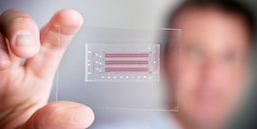Microfluidic chip created by Carl Hansen's team at the Centre for High-Throughput Biology